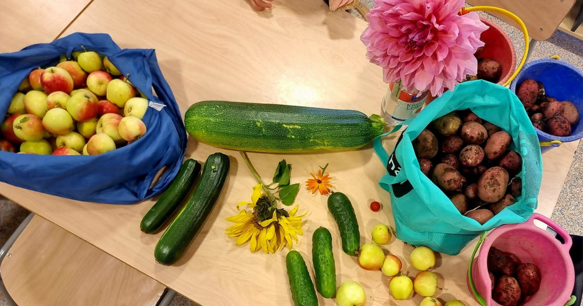 Austefjord barnehage